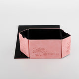 TOYGER DeckSlimmer Deck Box